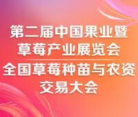 2025第二屆中國(guó)合肥果業(yè)暨草莓產(chǎn)業(yè)展覽會(huì)<br>全國(guó)草莓種苗與農(nóng)資交易大會(huì)